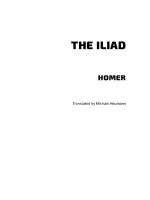 Thumbnail for THE ILIAD By HOMER