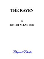 Thumbnail for The Raven Poem