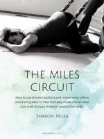 Thumbnail for The Miles Circuit