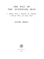 Thumbnail for The Way Of The Superior Man David Deida