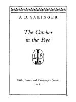 Thumbnail for The Catcher In The Rye PDF
