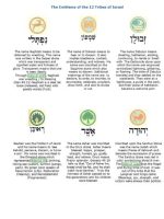 Thumbnail for The Emblems Of The 12 Tribes Of Israel