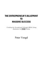 Thumbnail for The Entrepreneurs Blueprint Print Version 6 X 9 V3 PDF