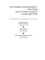 Thumbnail for DATABASE MANAGEMENT SYSTEMS