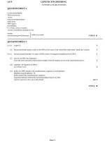 Thumbnail for Genetic Engineering As 9 Question sheet