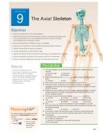 Thumbnail for Marieb Lab Manual Exercise 9