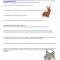 Thumbnail for Natural Selection Biogeography Option 1