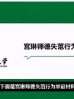 Thumbnail for 宫琳 PPT |