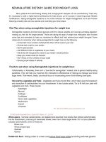 Thumbnail for Semaglutide Diet Plan