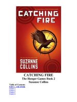 Thumbnail for CATCHING FIRE