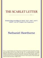 Thumbnail for The Scarlet Letter (Novel) Nathaniel Hawthorne