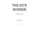 Thumbnail for Kite Runner Novel PDF