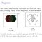 Thumbnail for Venn Diagram
